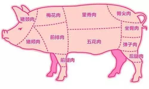 梅花肉是猪的上肩肉