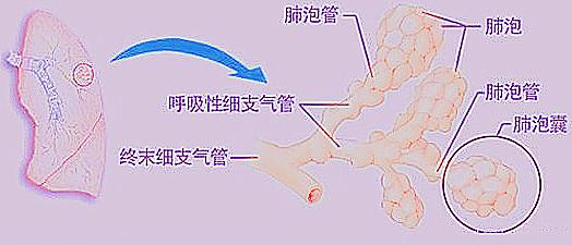 气不够用怎么办