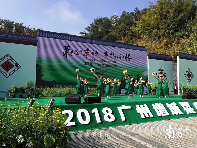 品菜心看民俗2018广州增城菜心节正式开幕