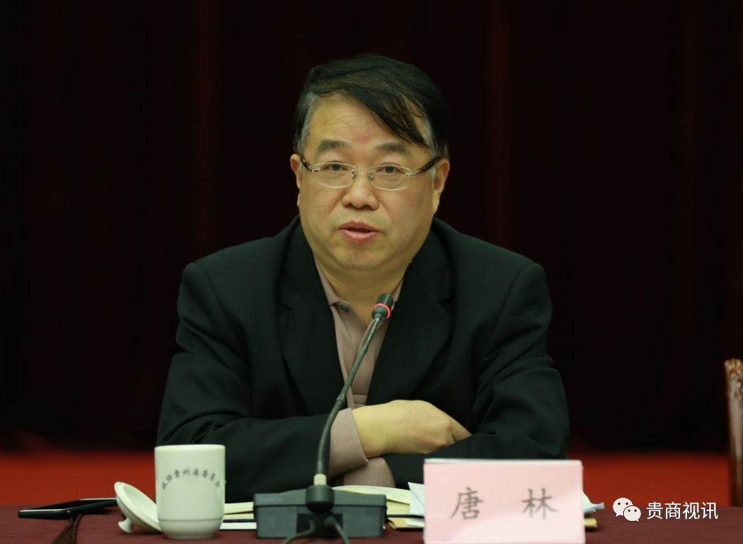 省工商联主席李汉宇,贵州省高级人民法院党组副书记,常务副院长唐林