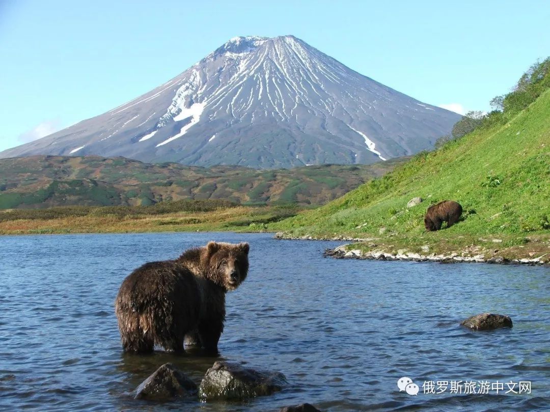 堪察加观火山邂逅世界上最大的棕熊top 7从酒店到周边超市,咖啡馆和