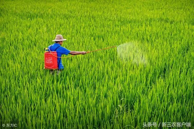 所以根据不同的天气不同环境,喷洒农药的注意事项也不相同.