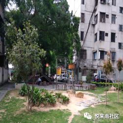 广东经济总量进出口约占_广东区域经济分布(3)