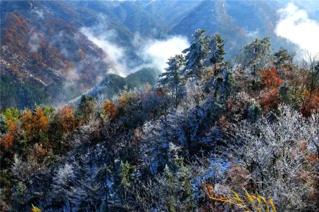 大美马鬃岭 缤纷四季