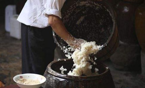 酿制米酒中