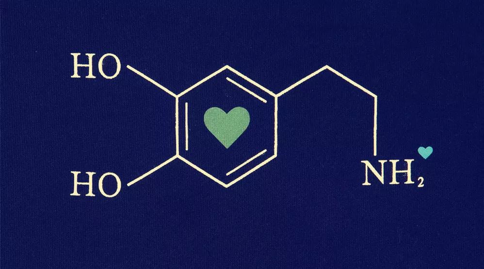 恋爱神助攻,原来你叫多巴胺_爱情