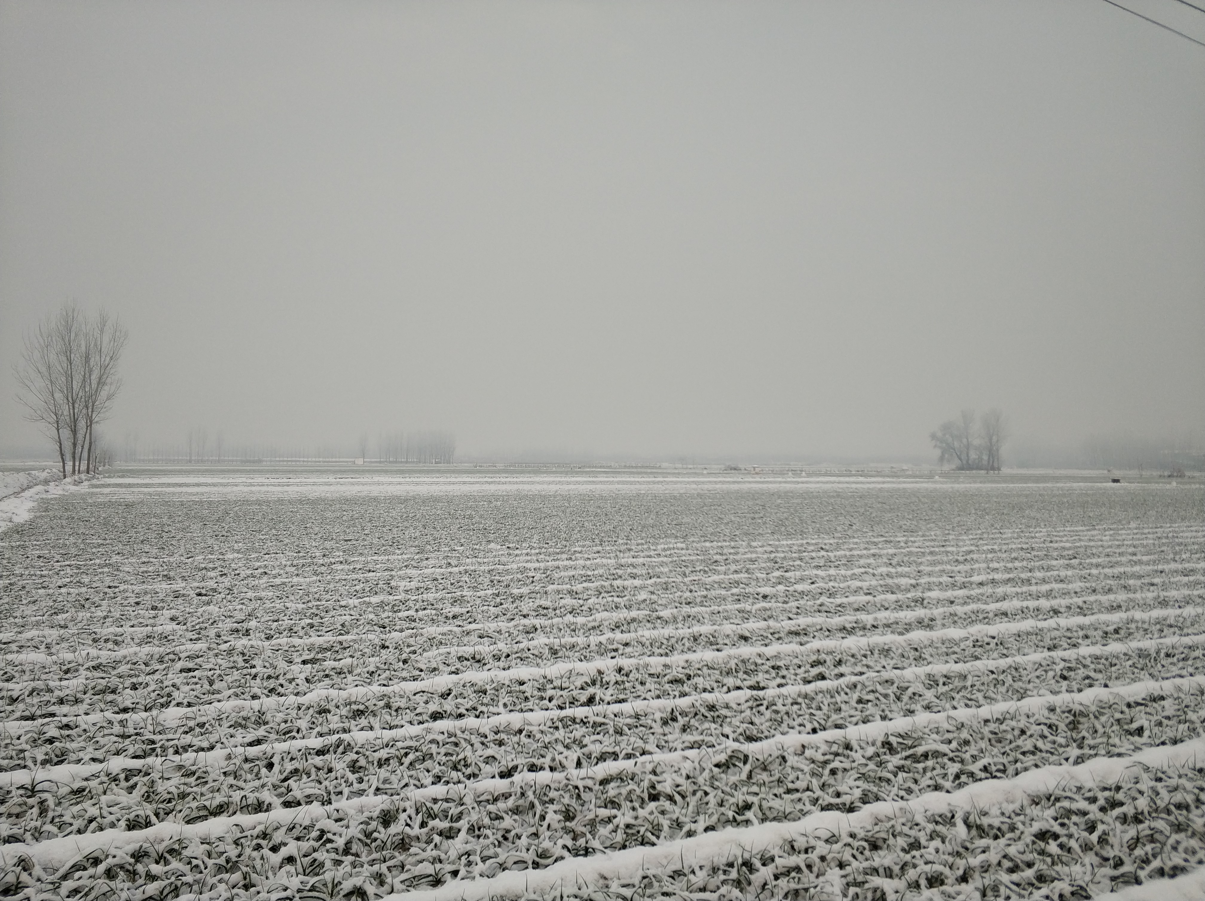 雪后的农村一片银装素裹走在雪地里心情非常舒畅