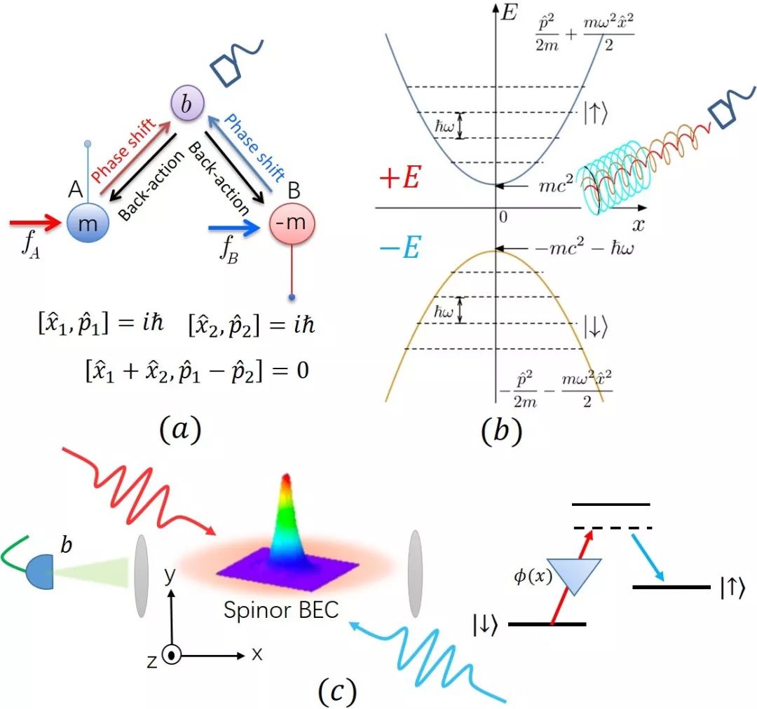 力学中的狄拉克振子模型结合,揭示了相对论效应对量子精密测量的