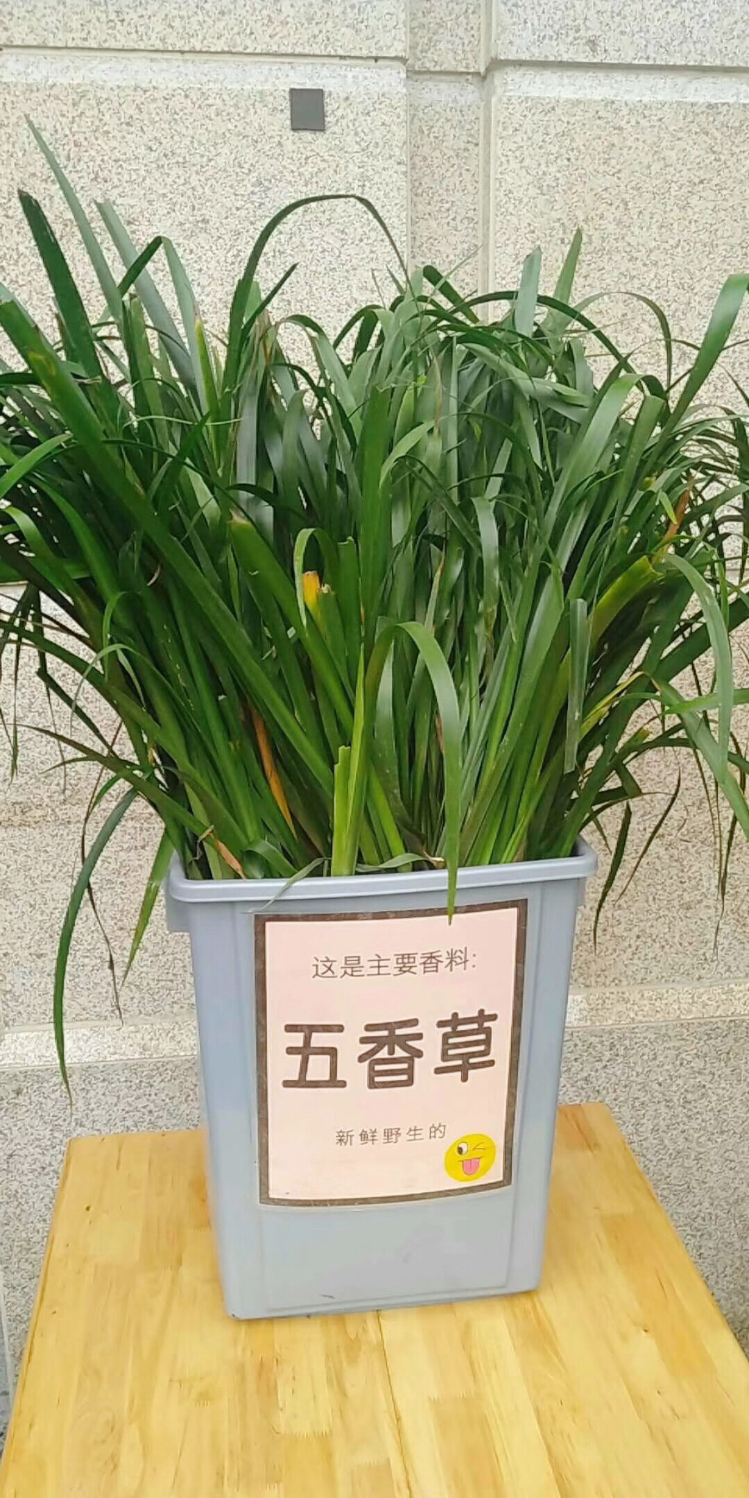 展示在店外的五香草