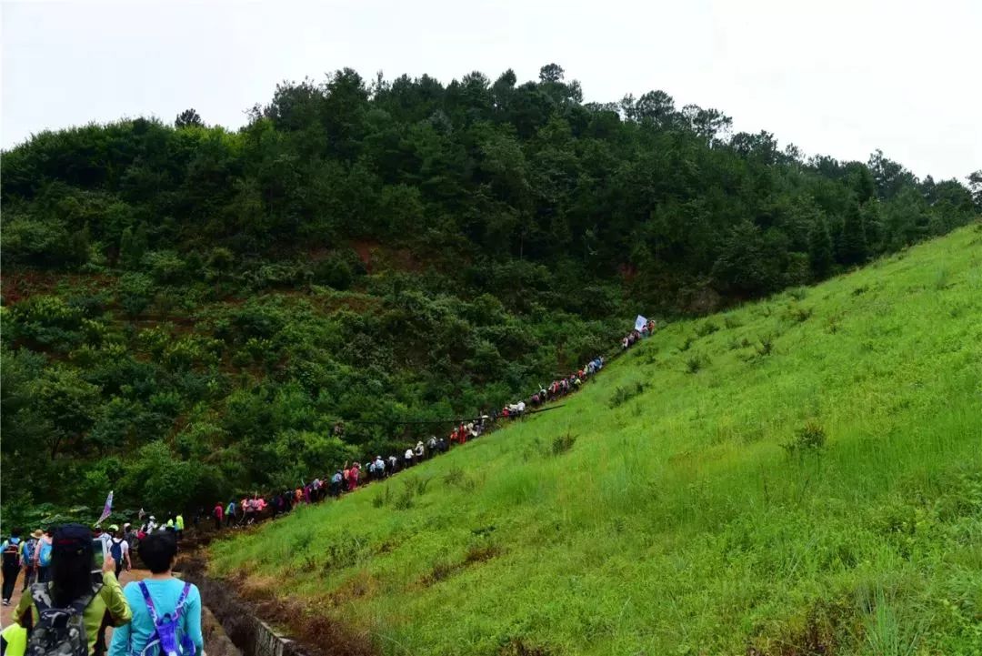 周末相约美丽乡村朱家山骑行徒步还有长街宴