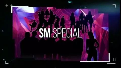 真是活久見！SM、JYP家族在年末將帶來特別舞台！全場邀請29組歌手陣容超豪華…… 娛樂 第3張