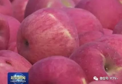 宜川：蘋果深加工，助力果業轉型升級，延伸果業產業鏈 科技 第12張