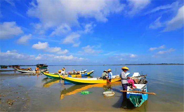 徐闻县东北部的和安,锦和,新寮,下洋沿海一带,滩涂广阔,常年雨量较