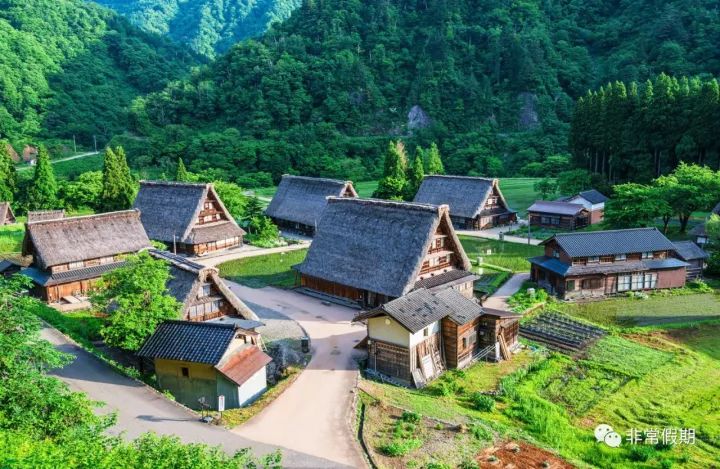 五箇山是位于富山县西南部,庄川上游的平村,上平村和利贺村三个村落的