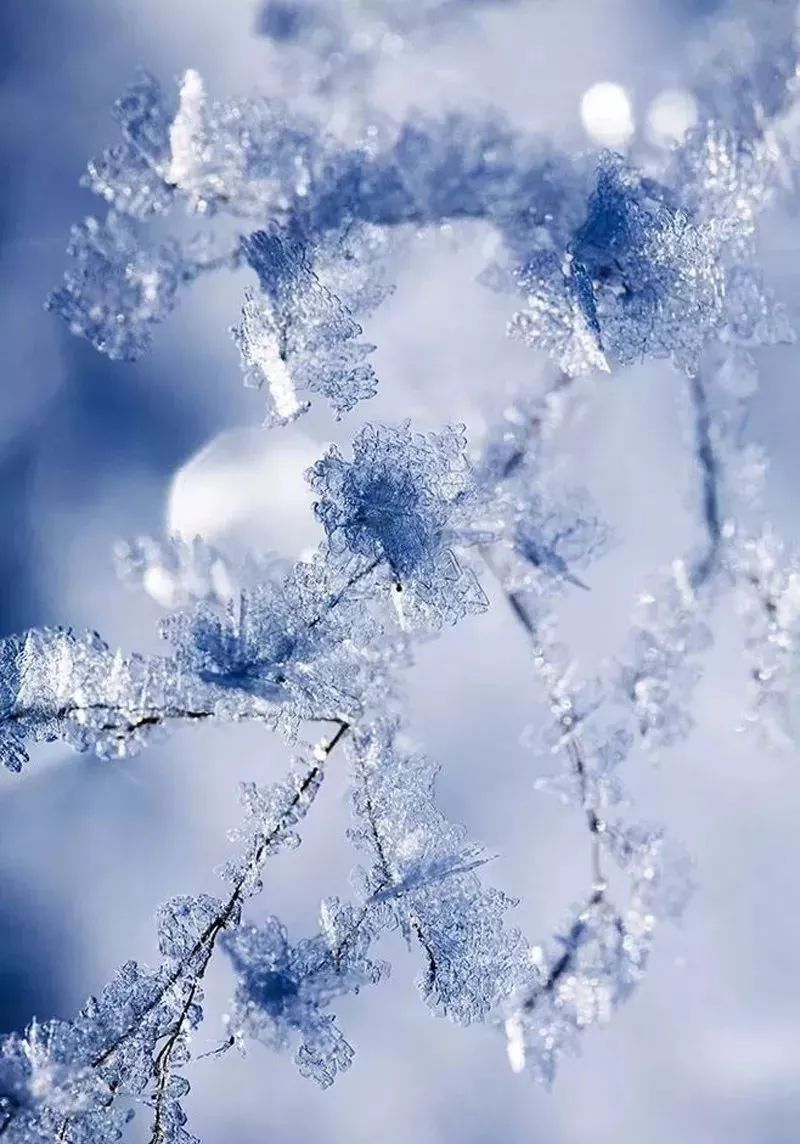 【蓝天国学】冬至: 这一天白天最短,这一天思念最长