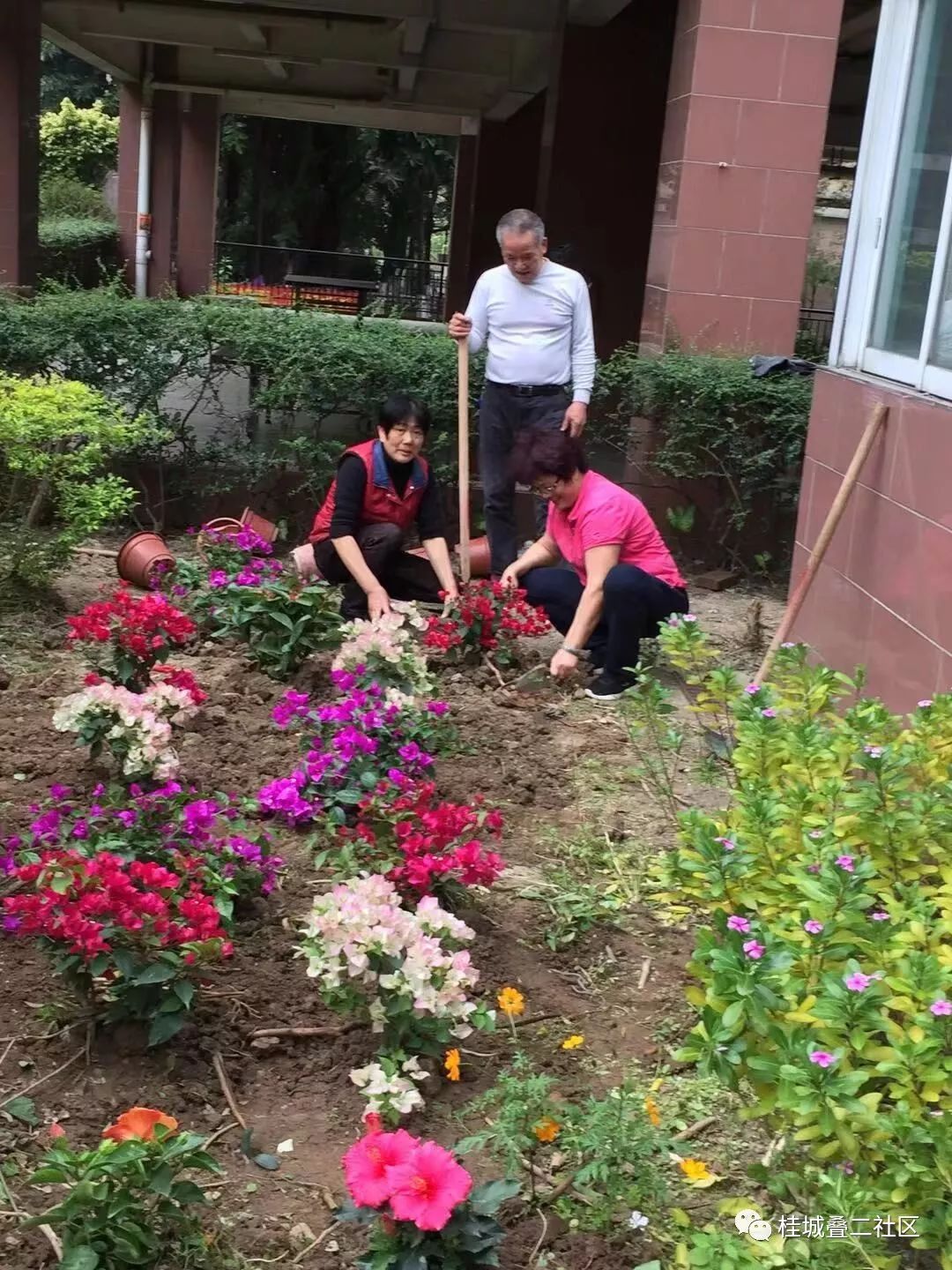 种植花草,大家齐参与