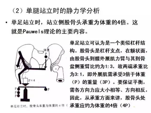 最全髋关节运动学