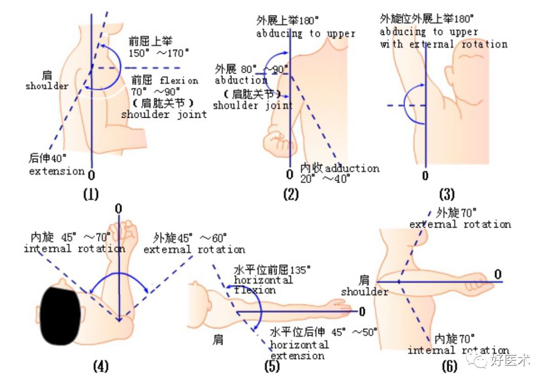 最全肩关节解剖及查体方法汇总,速收藏!