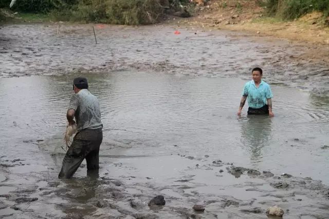 重拾儿时农村趣事,光脚 "浑水摸鱼"欢乐多_游泳