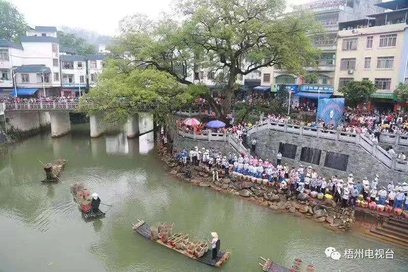 六堡镇:千年茶文化 茶香飘万里