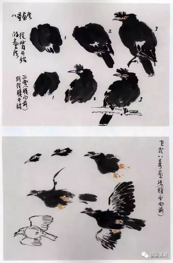 八哥画法(点击链接,学习:孙其峰教你画八哥)