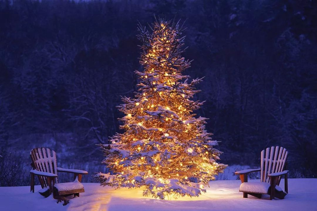 打卡杭州最美的8棵圣诞树,解锁圣诞节最美合影