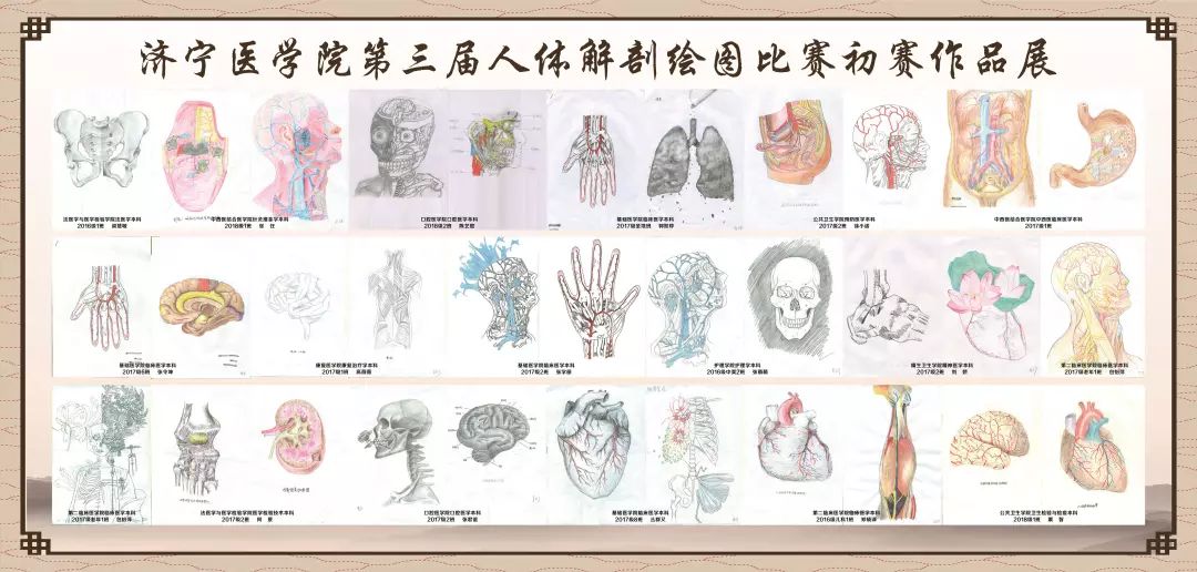 团情要讯 | 济宁医学院第三届解剖绘图比赛初赛作品展