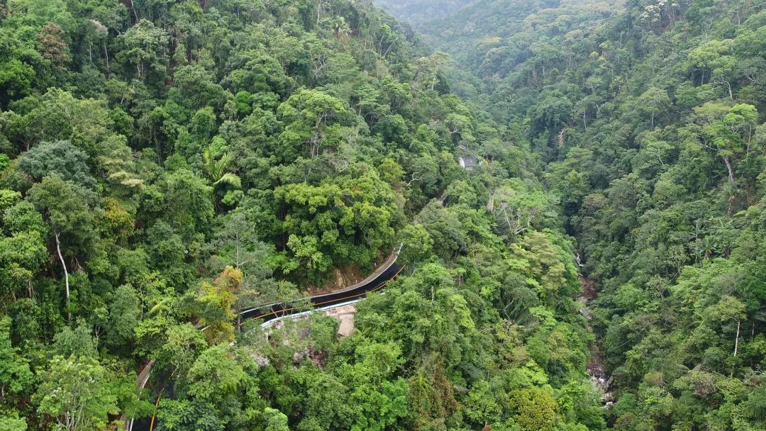 海南省交通运输厅考察吊罗山旅游公路海南工程指挥部获点赞