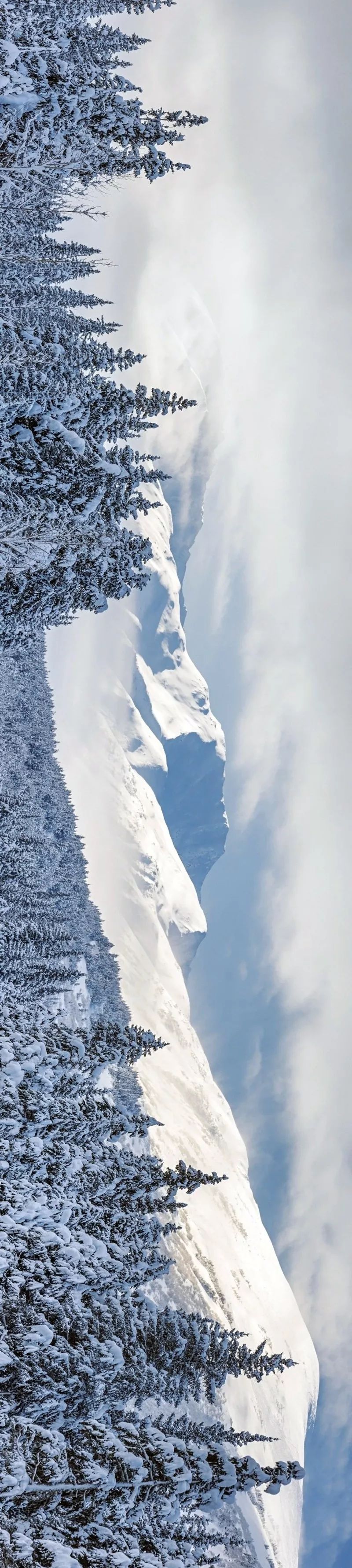 千里冰封, 万里雪飘