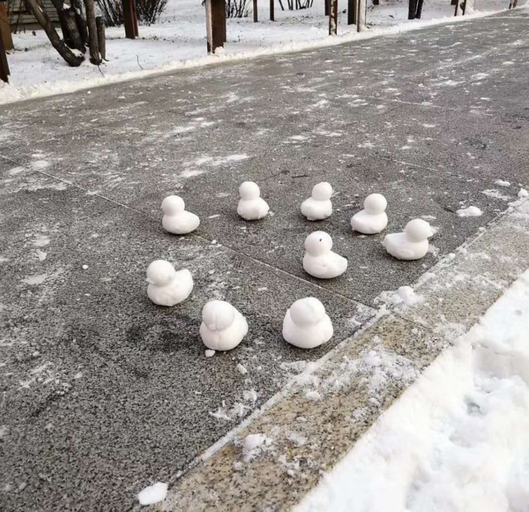 好嗨哦 | 东师第一届堆雪人大赛