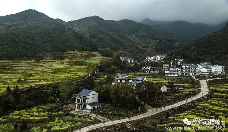 葛源镇关田村崇山头的油菜花司铺乡刘家村的桃花和油菜花港边乡善塘村