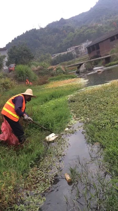 小池镇:清理河道垃圾,改善河道环境