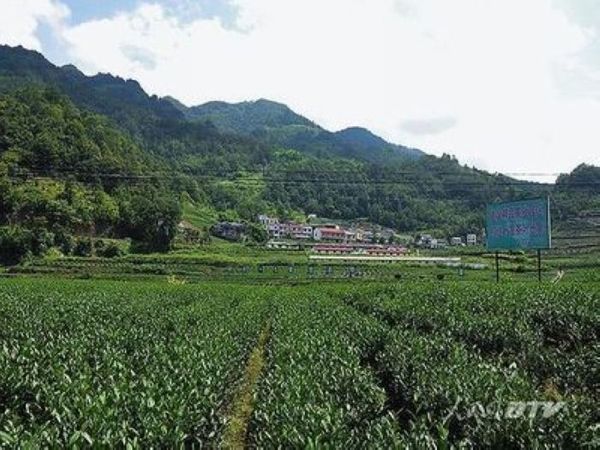 晏坝镇人口_陕西安康晏坝镇中坝村