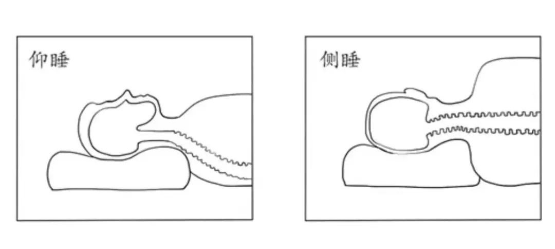 仰卧位睡的人要选择中等高度的枕头,避免头部向前移动;俯卧位睡的人要