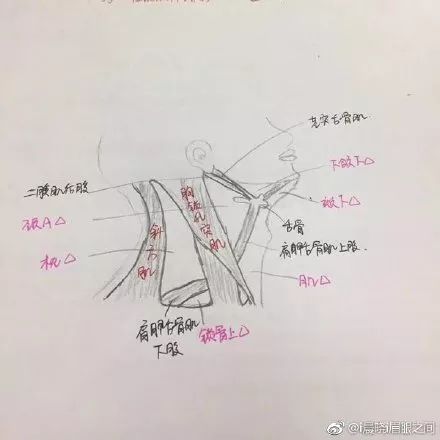 一个骨架猜成语_看图猜成语(3)