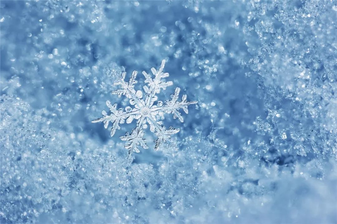 雪花飘飘 北风萧萧 天地 一片苍茫 现在的冬还没有白雪皑皑 但早上的