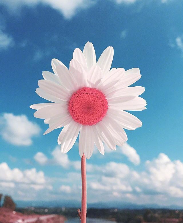 阳光总在风雨后