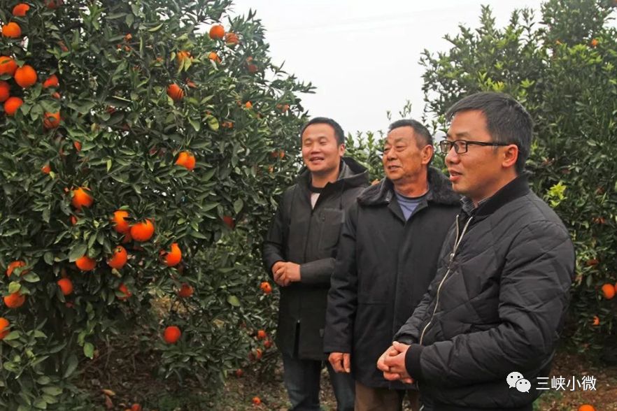 三峡集团派驻奉节县白龙村第一书记徐磊(右一)