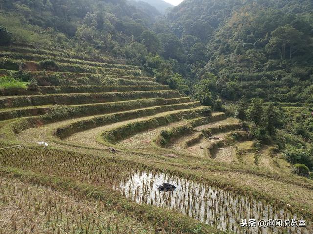 现在找一处没被污染的净土实属不易,广西博白县顿谷大塘便是大自然