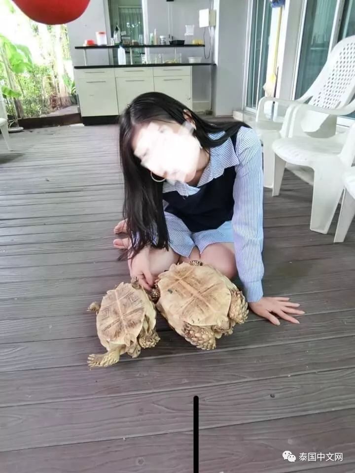 变态美女经常分享折磨动物的照片,被骂惨了