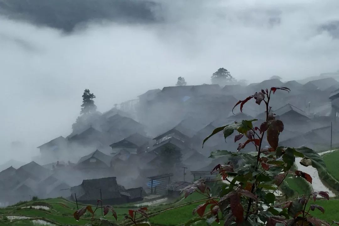 丙妹镇敖里村,谷坪乡银下村,往洞镇增冲村,往洞镇朝利村,往洞镇增盈村