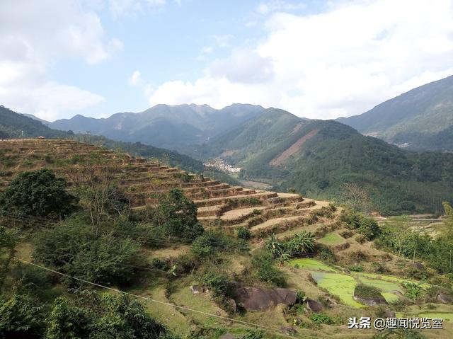 现在找一处没被污染的净土实属不易,广西博白县顿谷大塘便是大自然