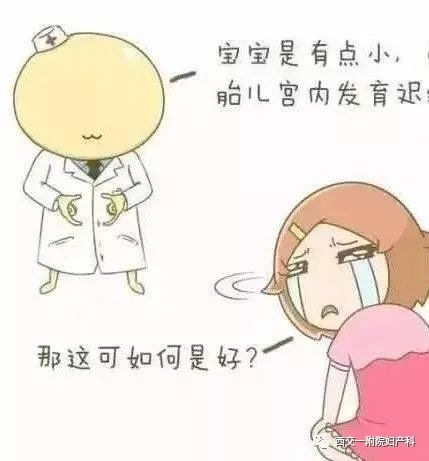 iugr胎儿怎么办