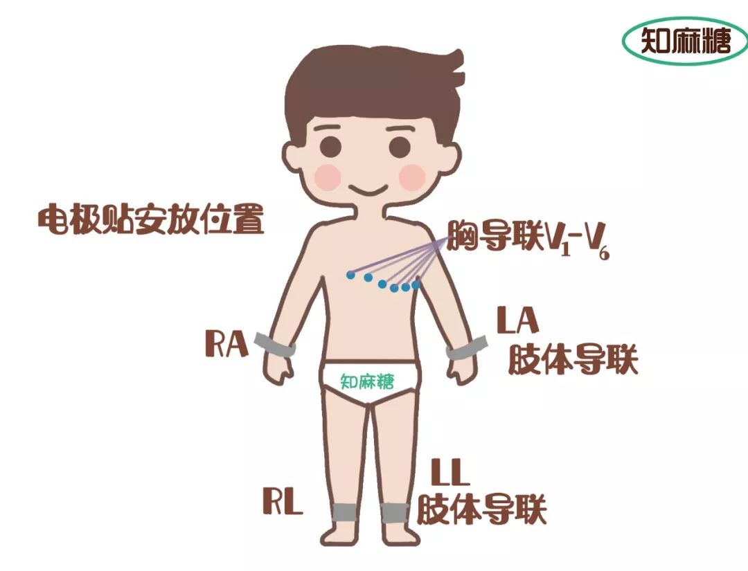 糟了,是心动的感觉!_心脏