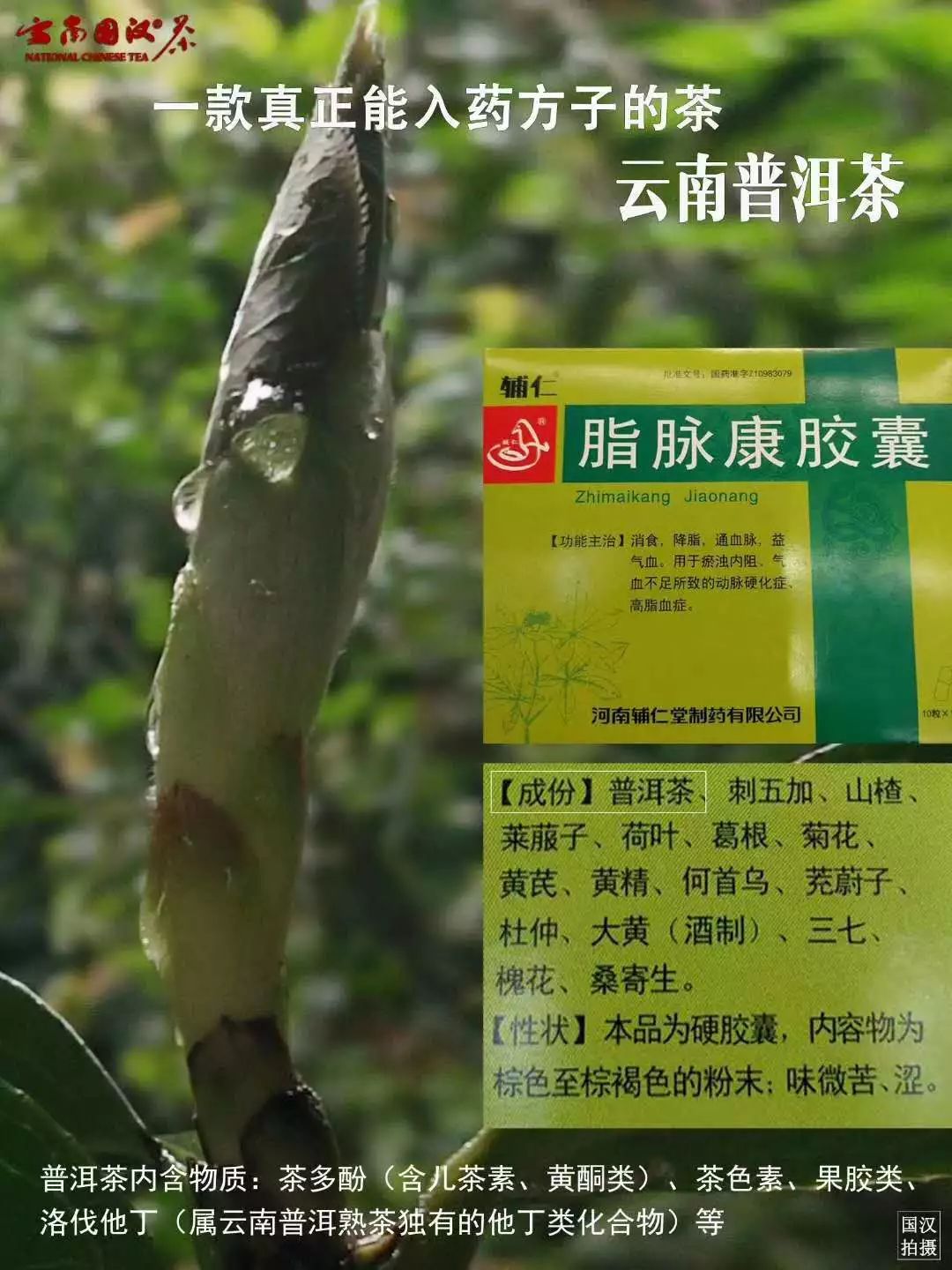 广东潮州风凤多少人口