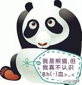 揭秘 | 沈阳的熊猫血为何只“稀”不“缺”？