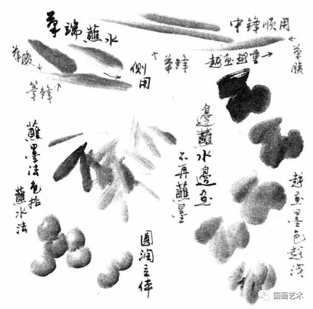 写意花鸟画笔墨技法详解