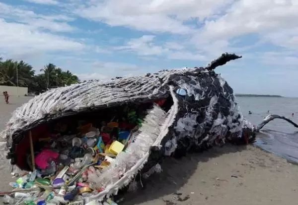 搁浅死亡的鲸鱼