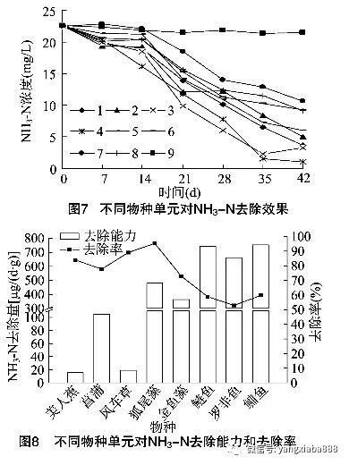 沉什么藻成语_藻酸盐辅料是什么(3)