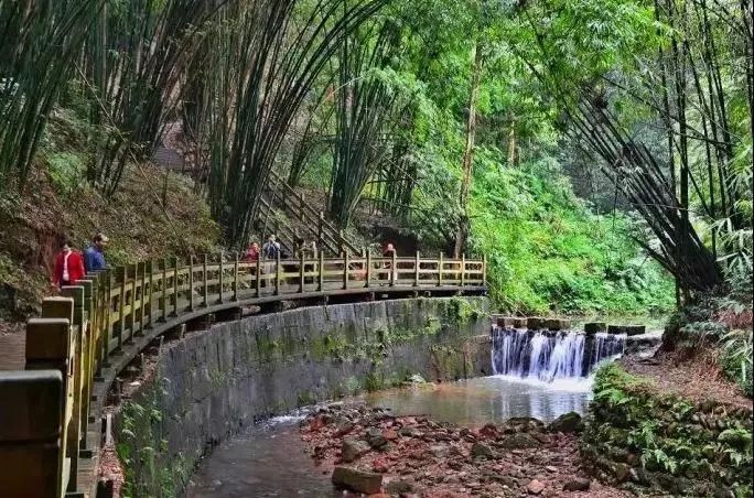 生命在于运动,快来崇州的步道,走你~~~_康道